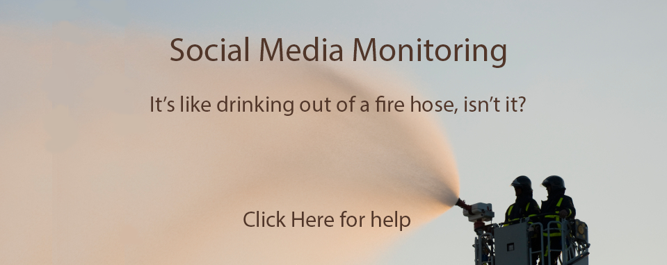 Sentinel Systems Limited